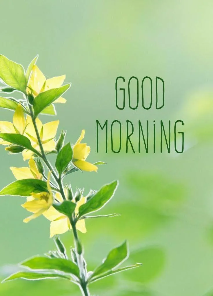 Green Background with Tree and Sunny Yellow Text Wallpaper