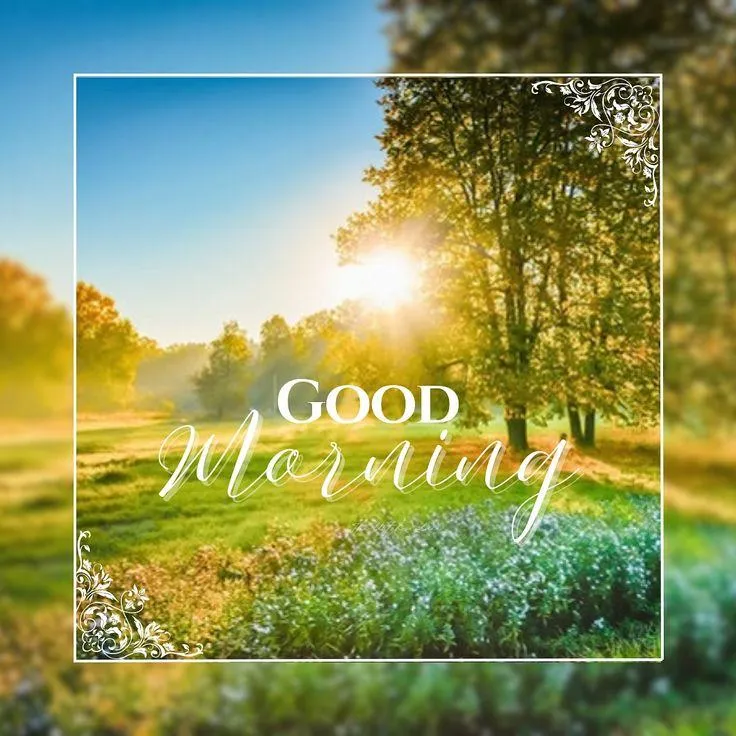 Green Field with Trees and Sunlight Morning Hope Image