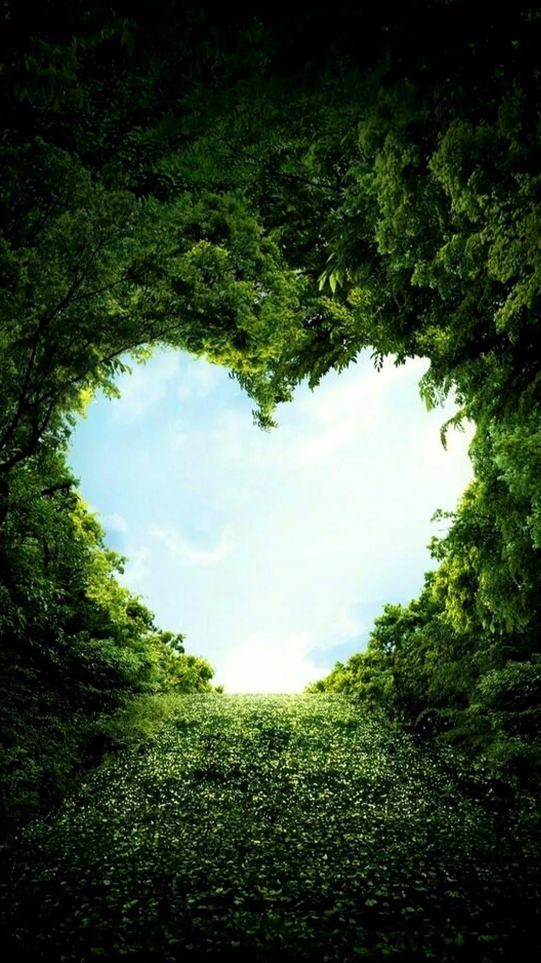 Green Forest Heart Symbolizing Harmony and Care Wallpaper