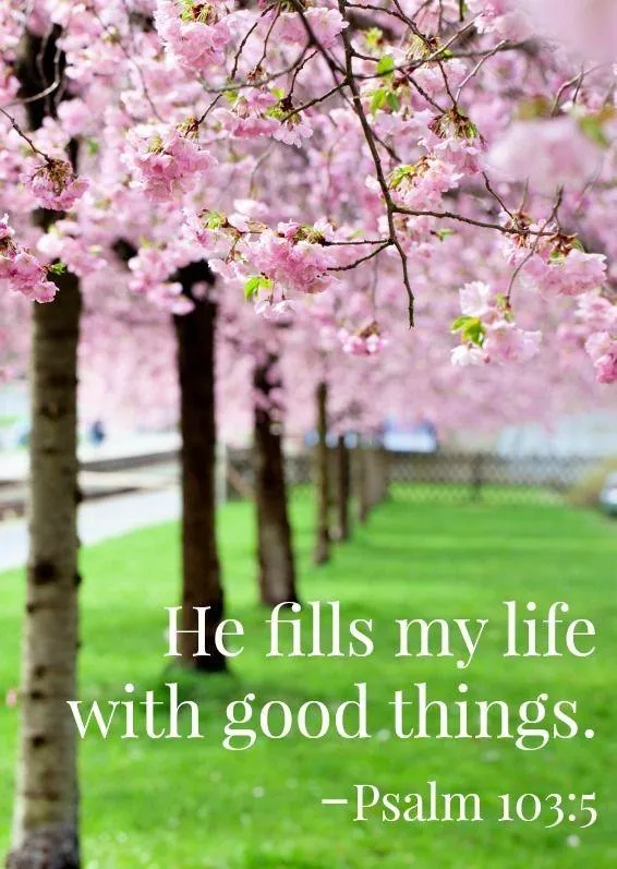 Green Grass and Books Inspire a Positive Morning Start