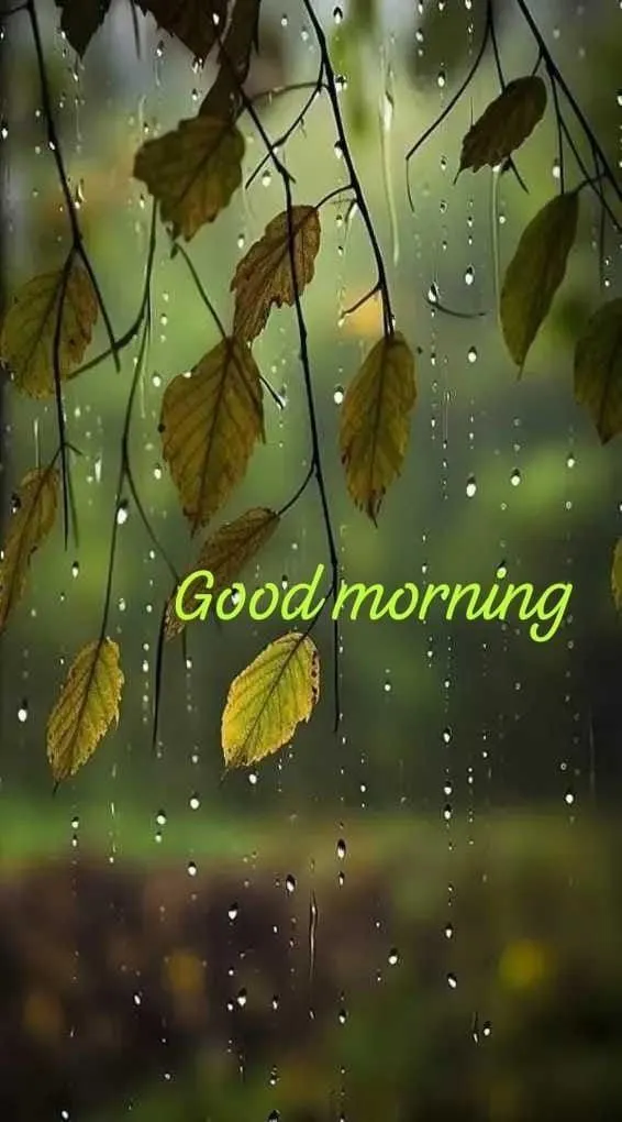Green Leaves Background with Fresh Morning Greeting
