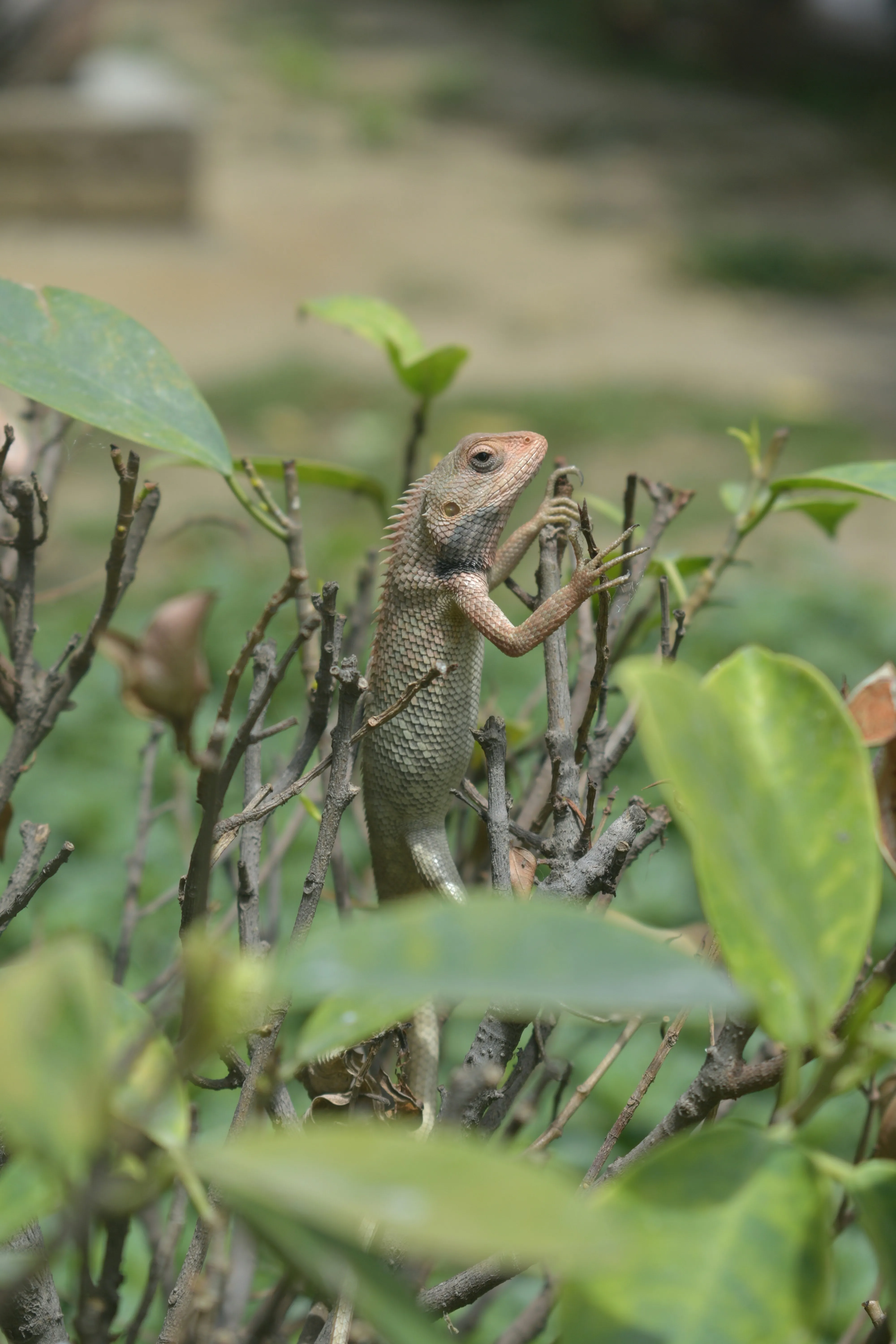 Green Nature Scene Symbolizing Calm and Love Wallpaper