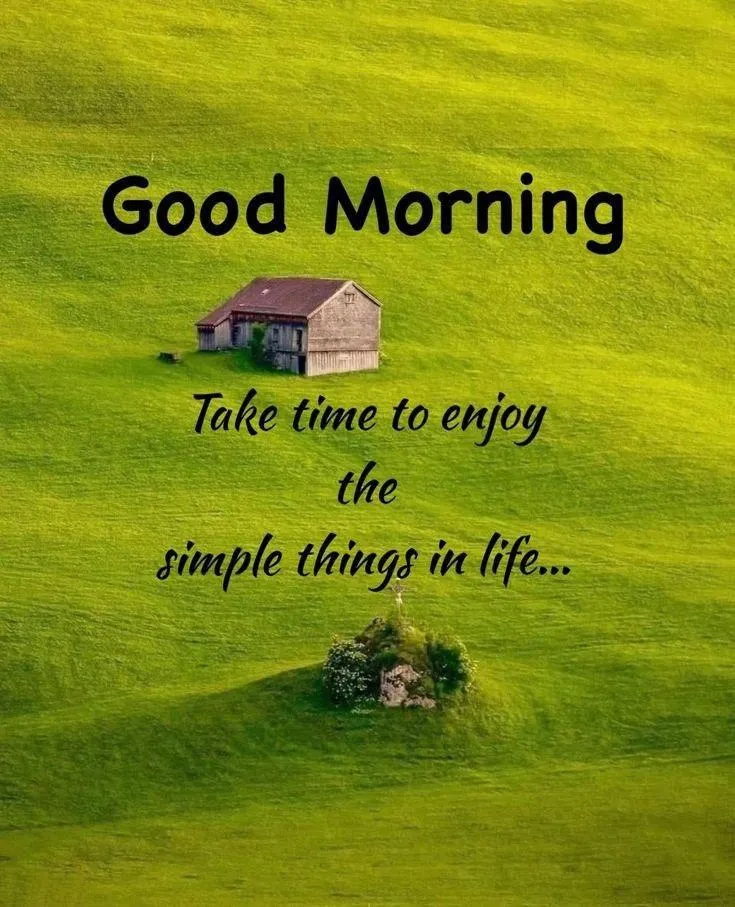 Green Nature with Uplifting Good Morning Message Wallpaper