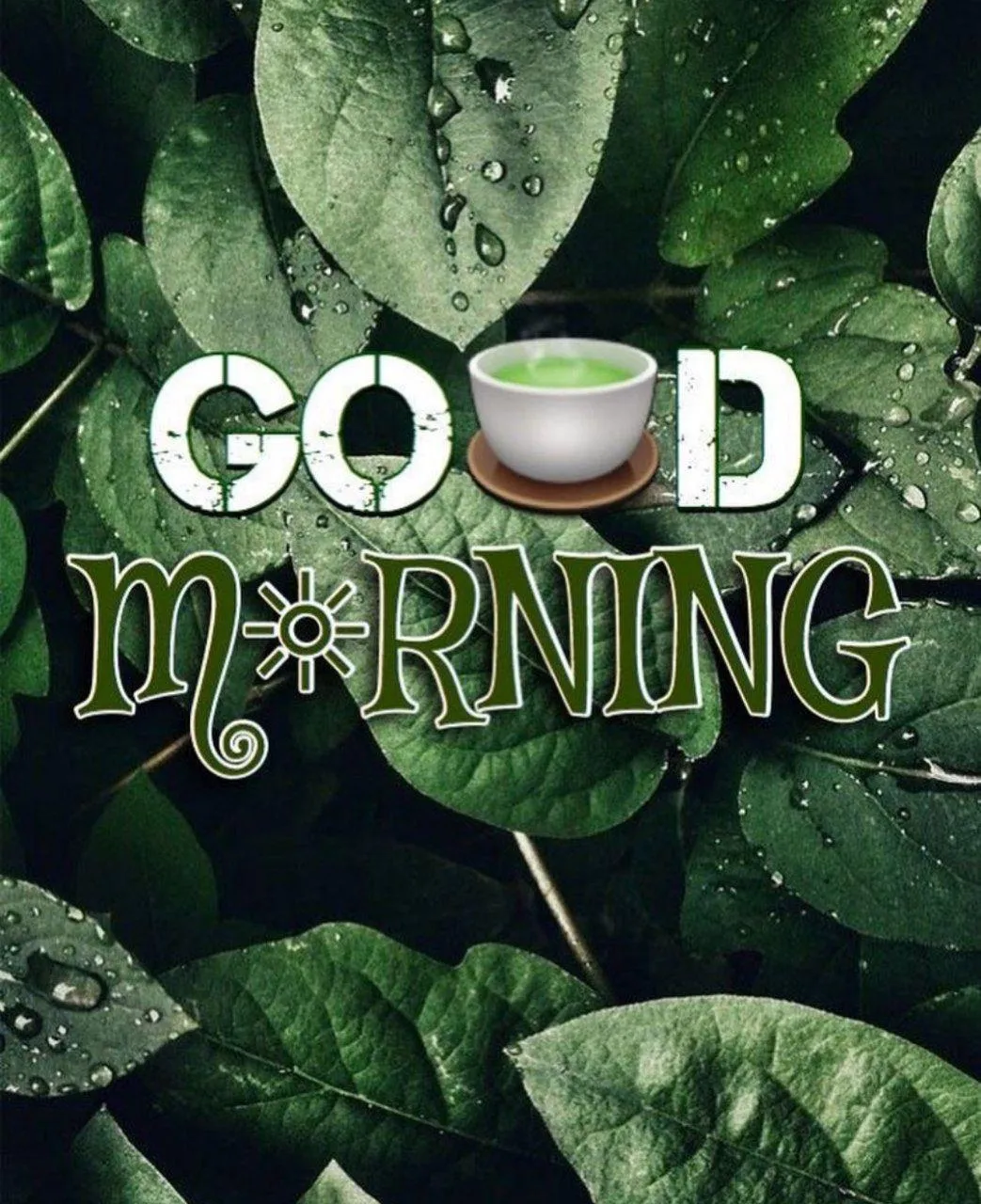 Green Plants Saying Good Morning with Natural Calm