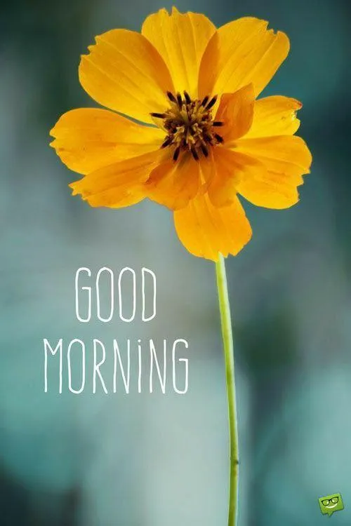 Green Toned Nature Image with Morning Wish Text Wallpaper