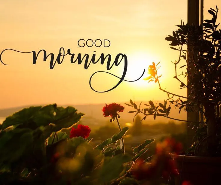 Greet the Morning with Peace and Warm Autumn Colors