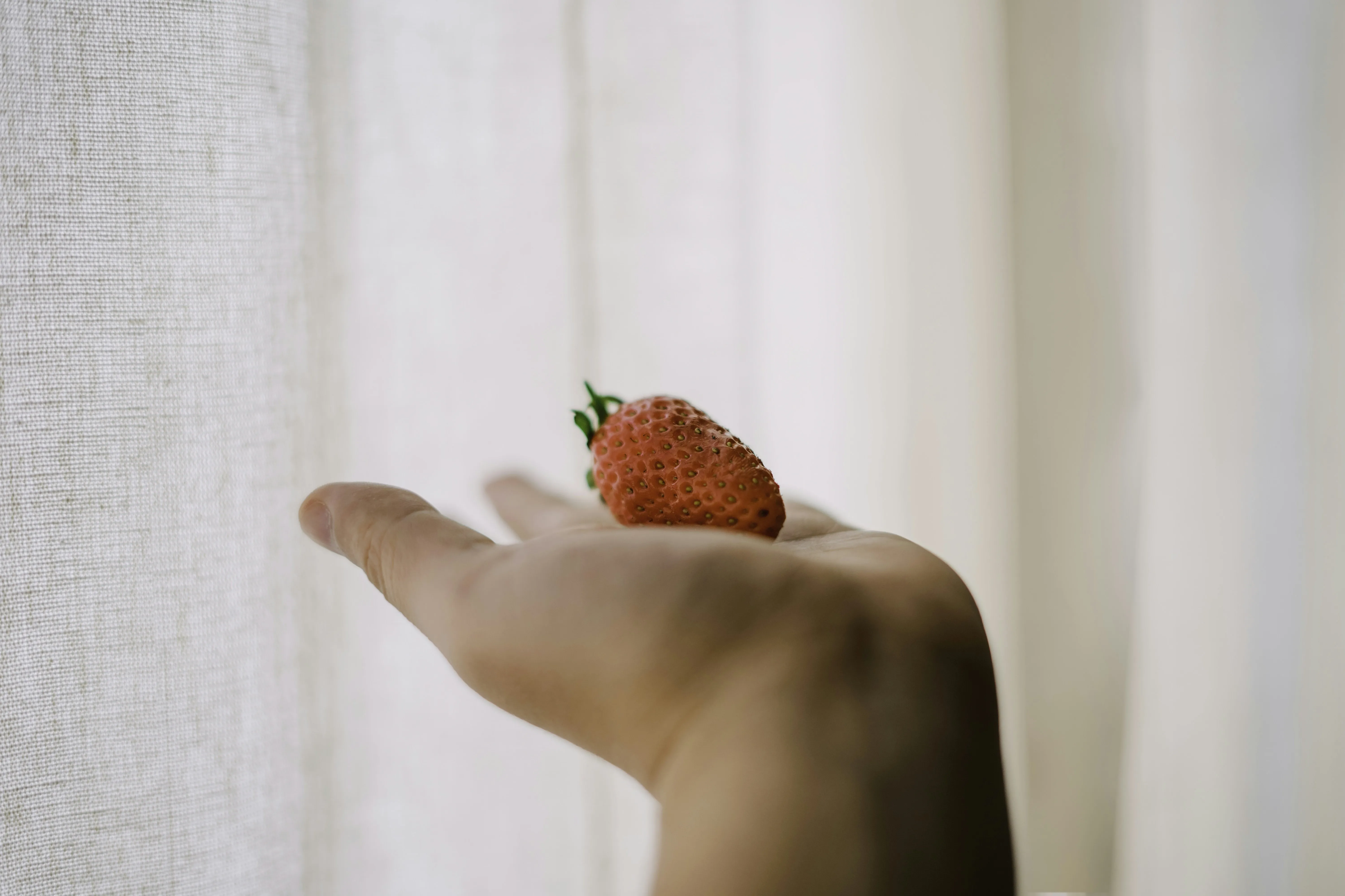 Hand Holding Strawberry Soft Light Through Curtain
