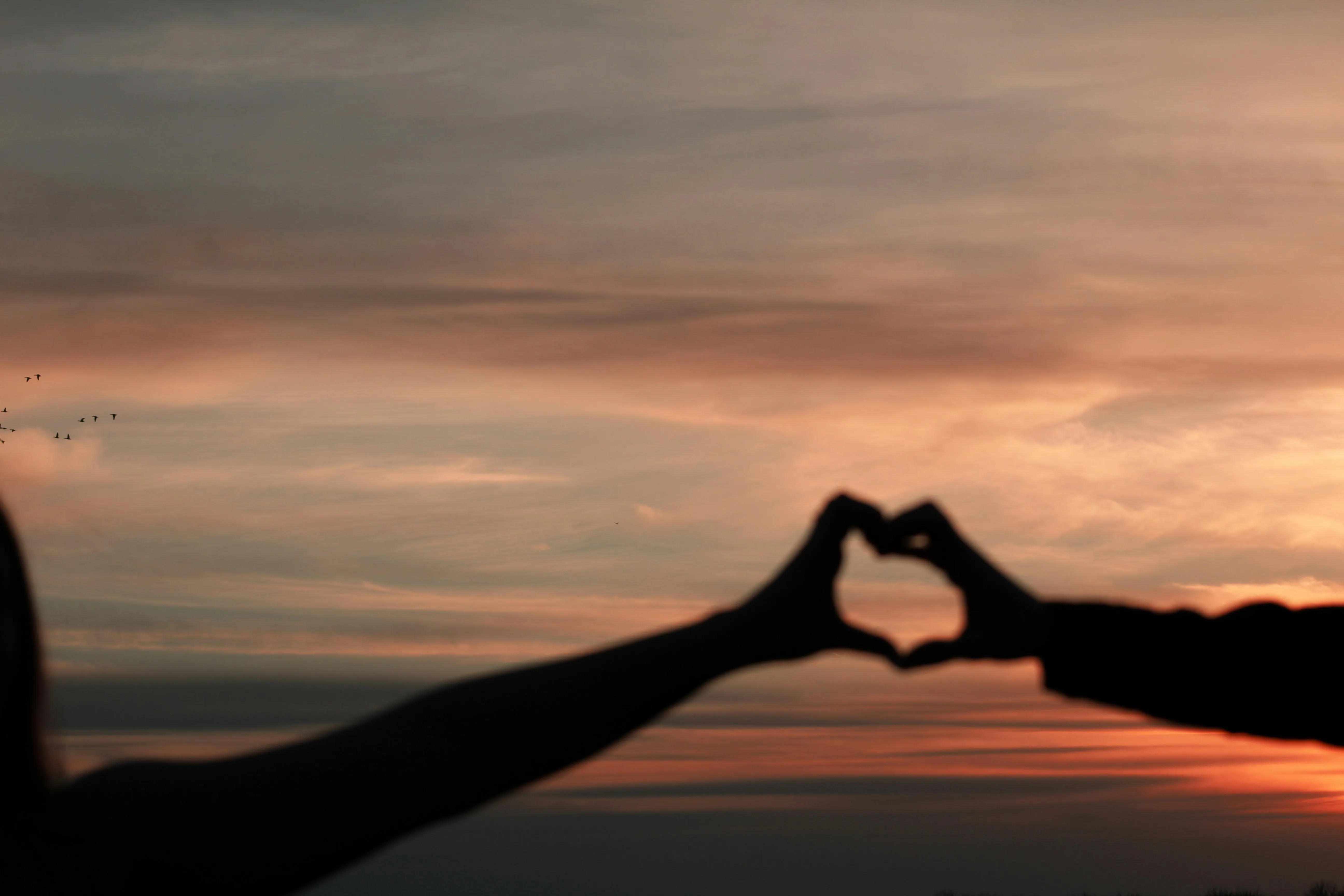 Hands Shaping Heart in Sunset Romantic View Wallpaper