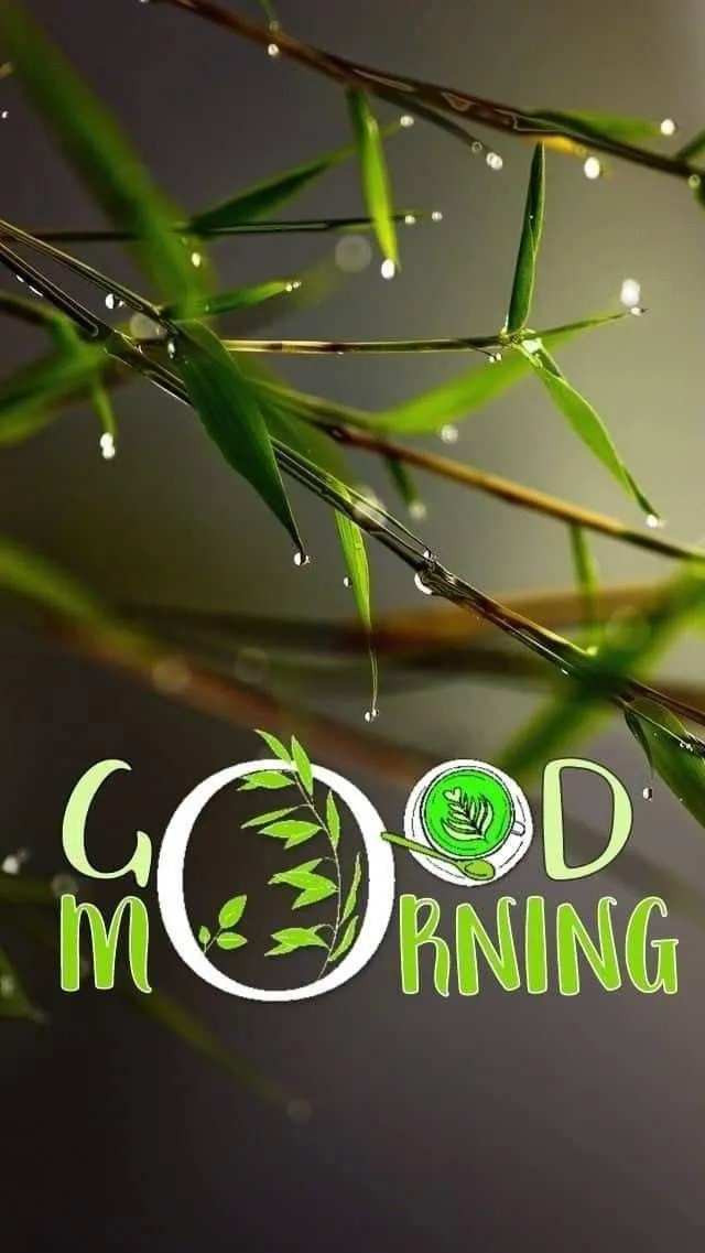 Hanging Branch and Moon Morning with White Font Wallpaper