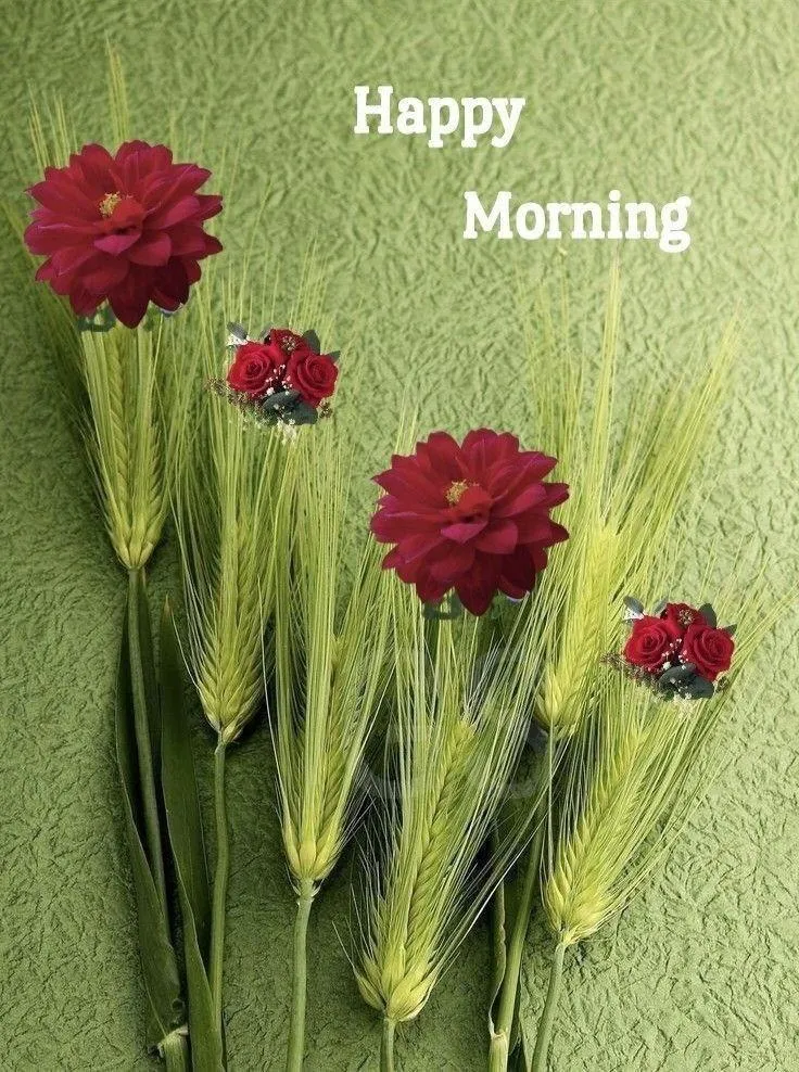 Happy Morning with Red Flowers in a Fresh Green Field