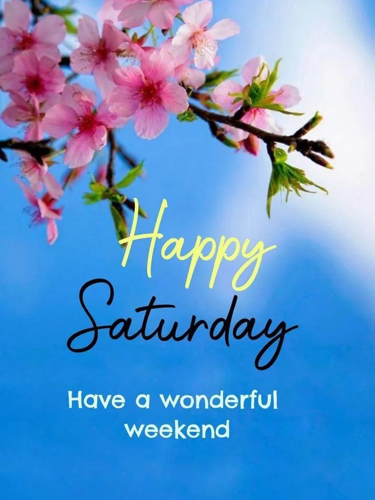 Happy Saturday Greeting with Pink Flowers Wallpaper