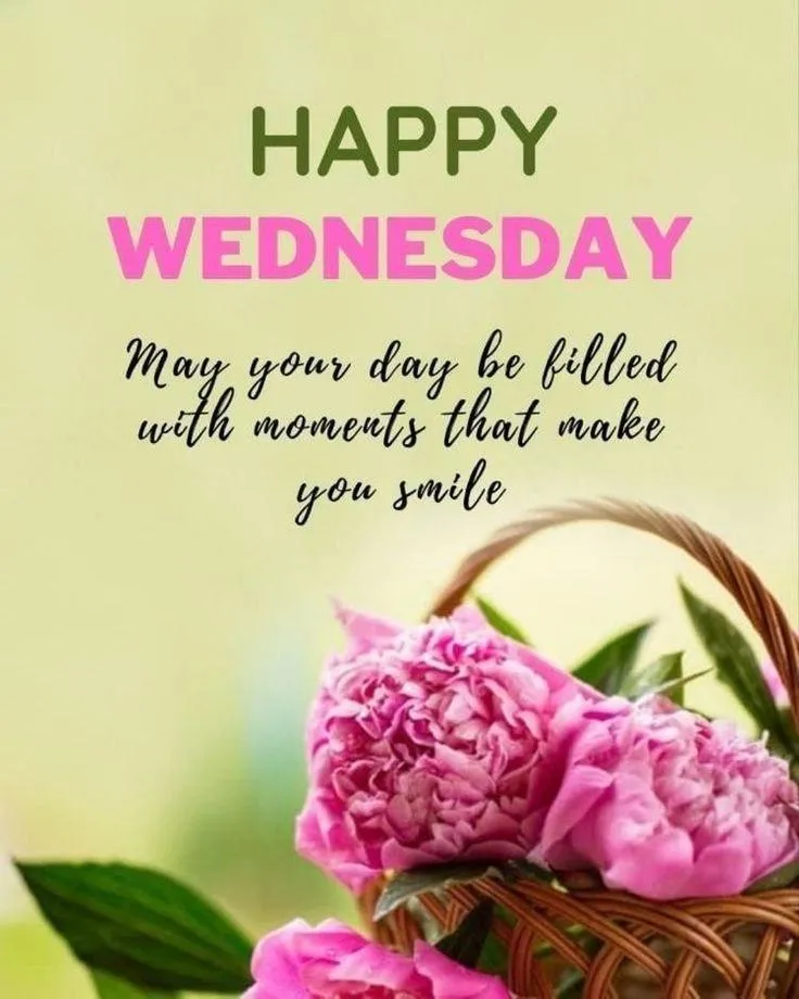 Happy Wednesday Morning Greeting with Floral Frame