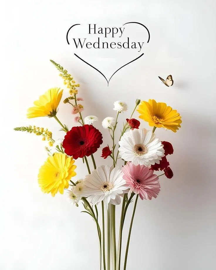 Happy Wednesday Wishes with Colorful Flowers Wallpaper