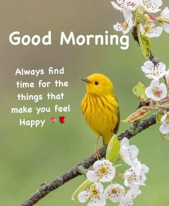 Happy Yellow Bird Image Lifts Your Mood and Spirit Early