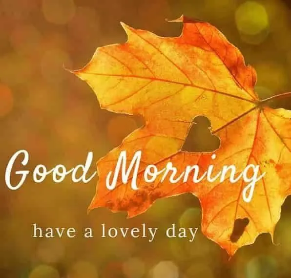 Have a Lovely Day with Sunshine and Autumn Vibes Image