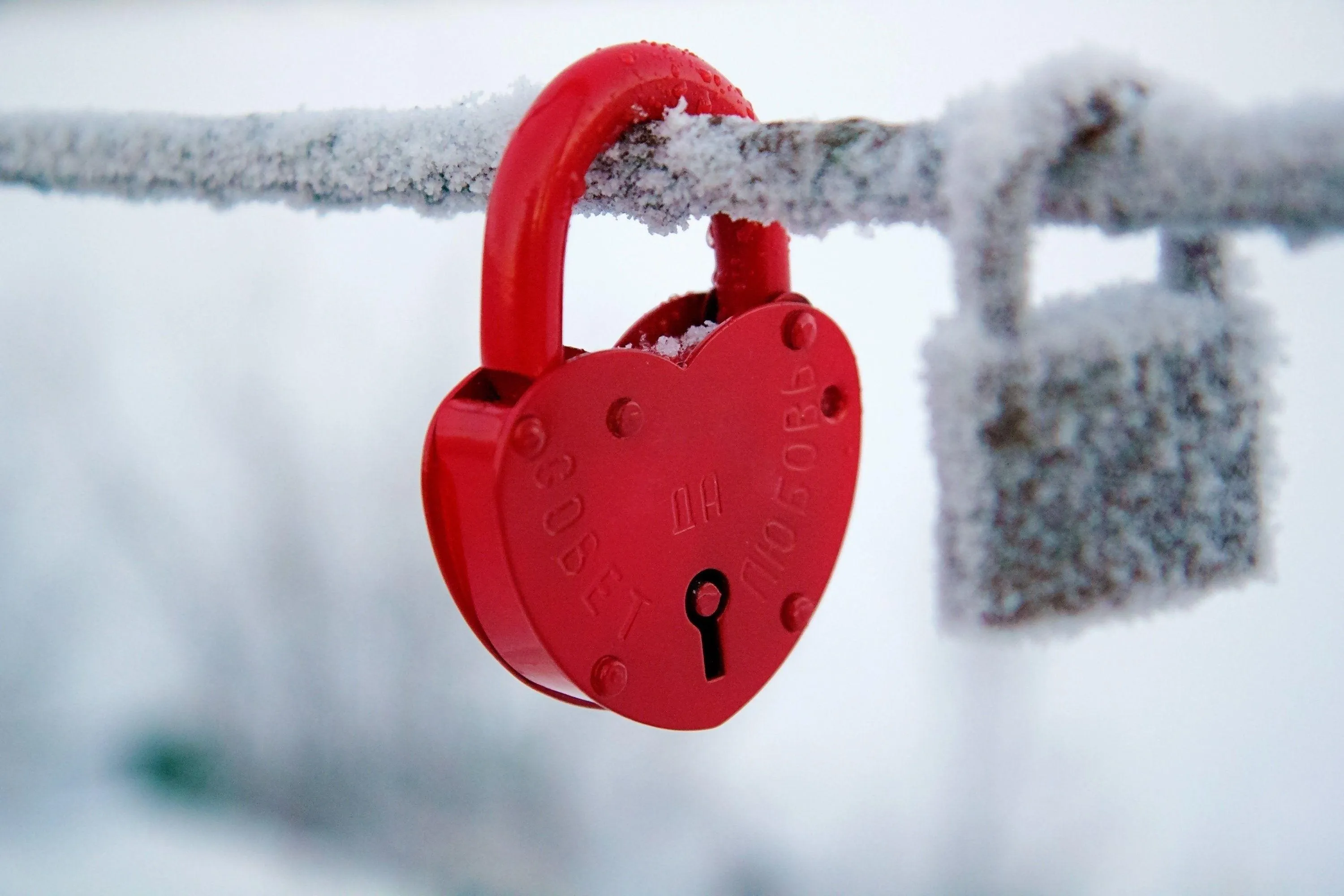 Heart Lock on Fence Representing Promise and Devotion
