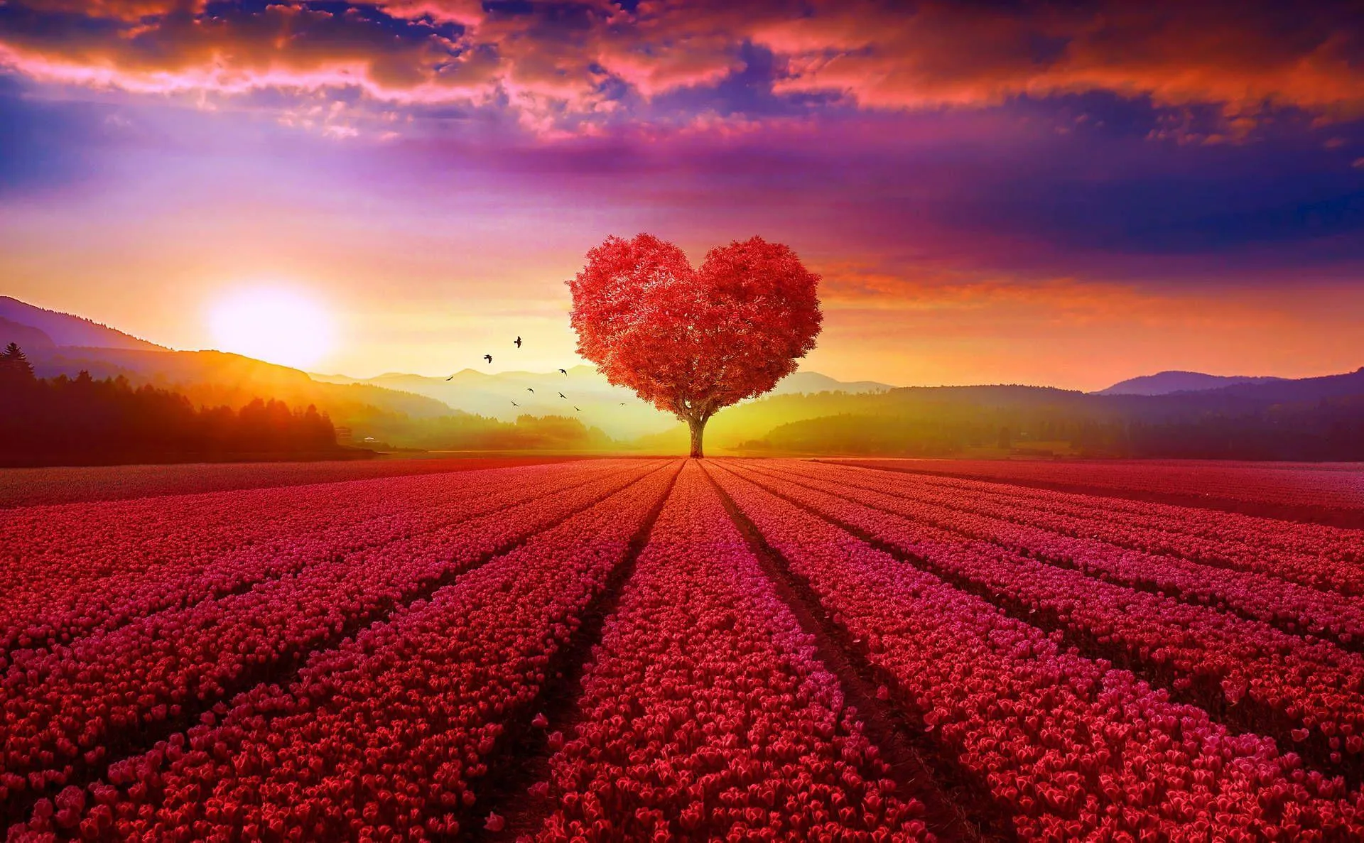 Heart Shaped Tree Floating at Beautiful Sunset Wallpaper