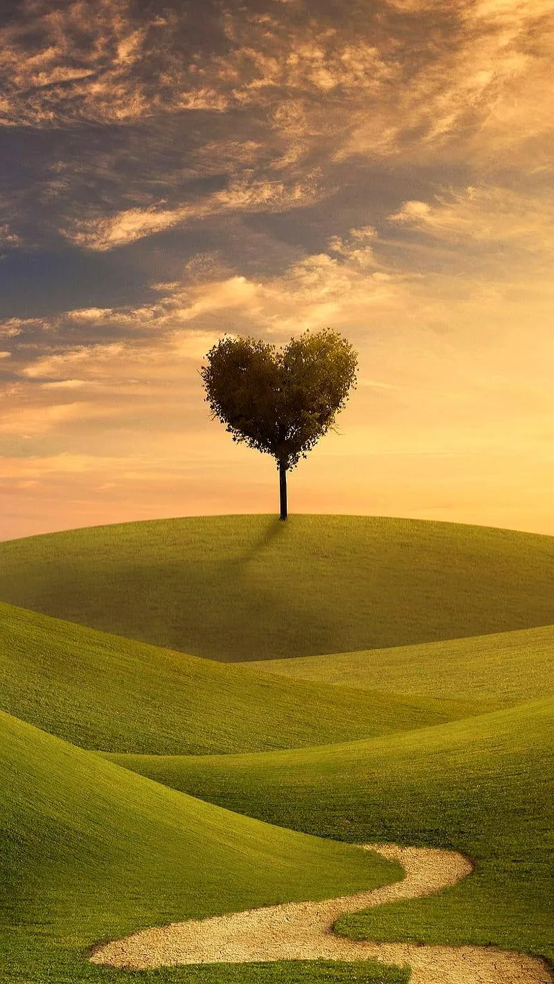 Heart Shaped Tree in Beautiful Golden Landscape Wallpaper
