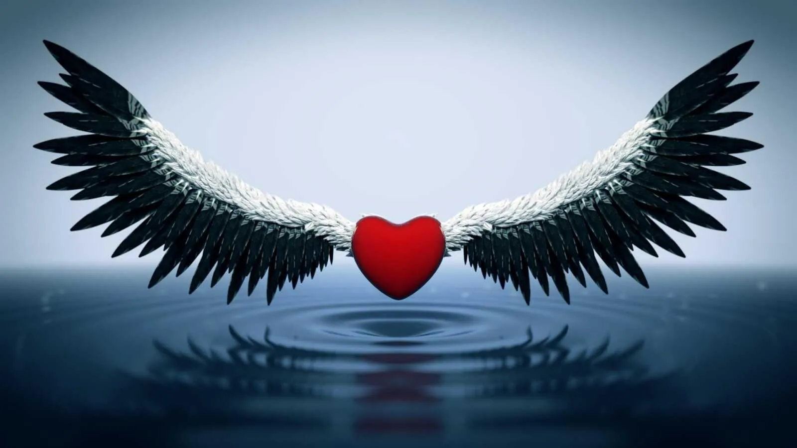 Heart with Wings Representing Freedom and Care Wallpaper