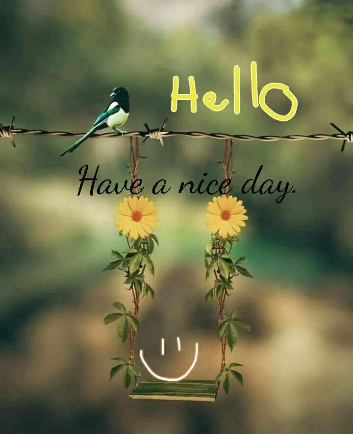 Hello Message with Butterfly and Glowing Background