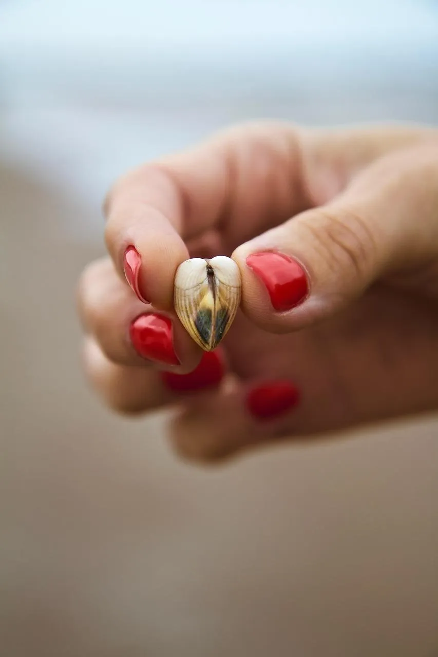Holding Hands Heart Expressing Warm Romantic Connection