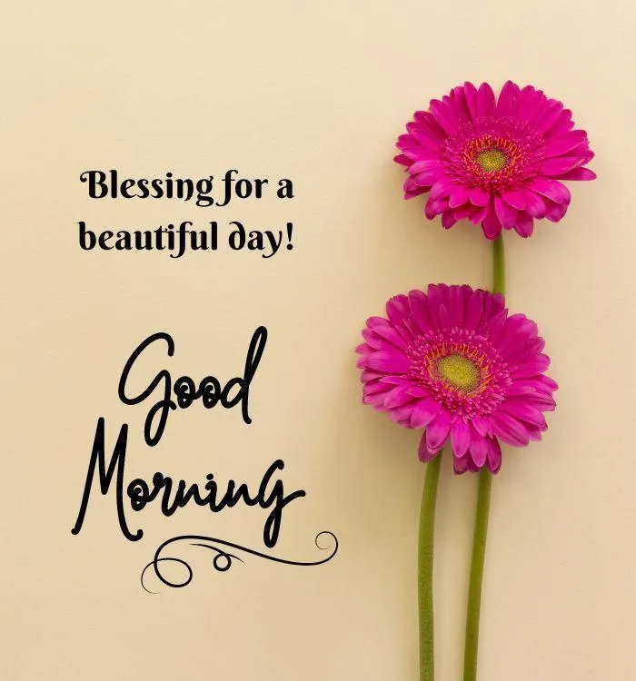 Inspirational Message and Flowers for a Peaceful Day