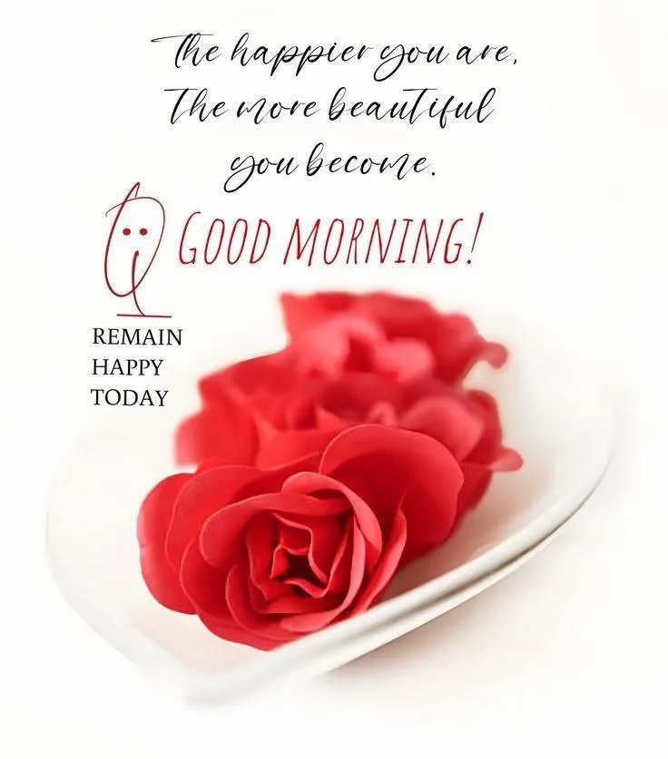 Inspirational Morning Quote with Red Rose Book Theme
