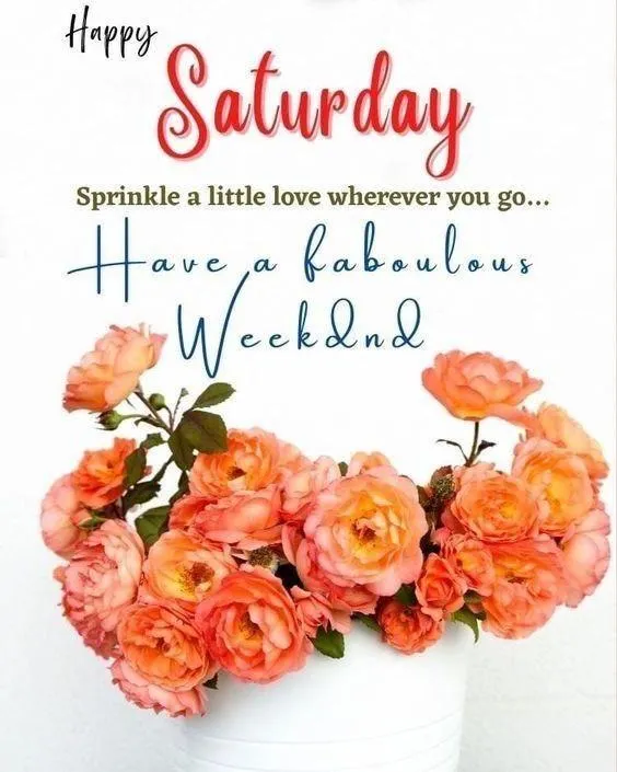 Inspirational Quote and Flowers to Uplift Your Morning