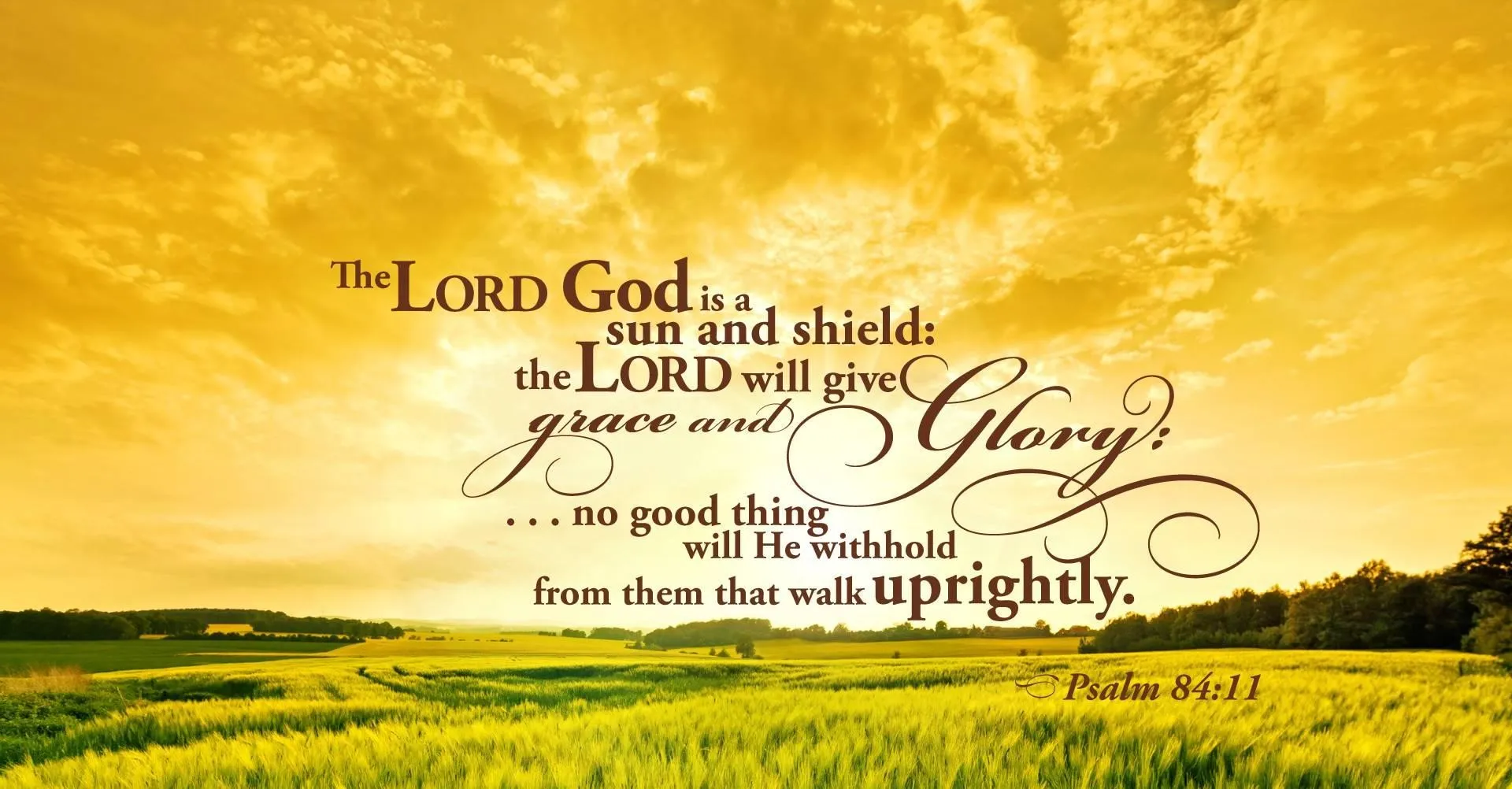 Inspiring Love Quote on Peaceful Sunny Meadow Wallpaper