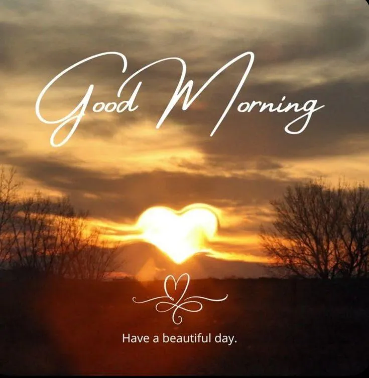 Let Morning Light Fill Your Heart with Warmth and Love