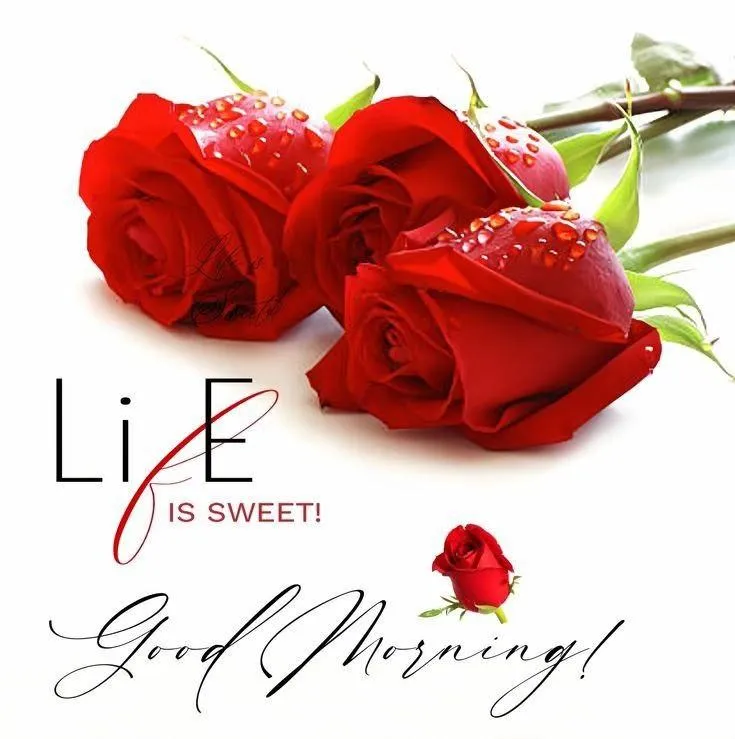 Life Is Sweet with Red Roses and Good Morning Message
