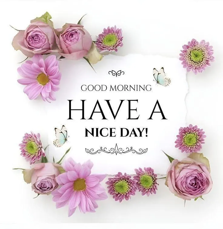 Light Pink Flowers and Morning Wishes for Peace Wallpaper