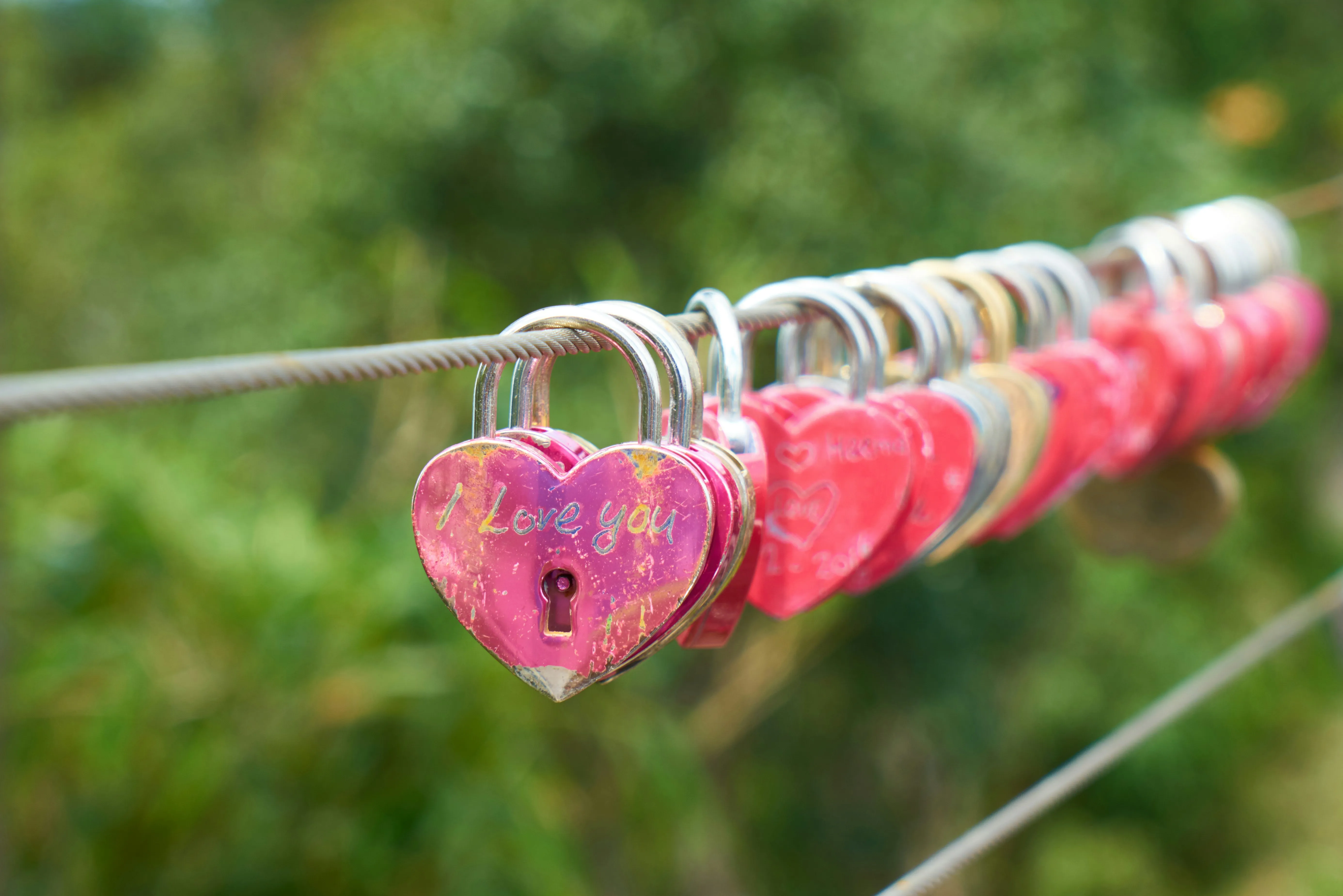 Love Locks Hanging on Bridge Promise Forever Wallpaper