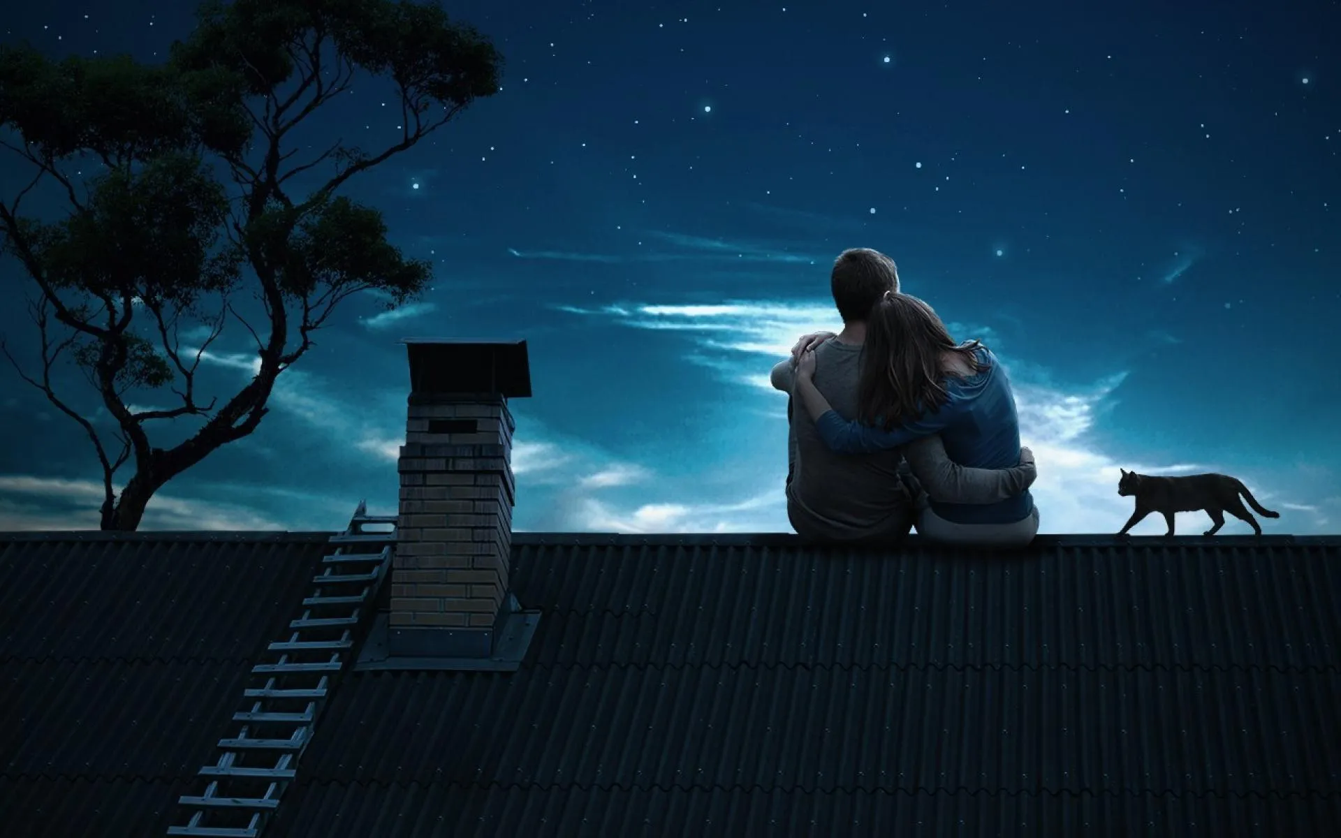 Lovers with Cat Under Night Sky Sharing Emotional Bond