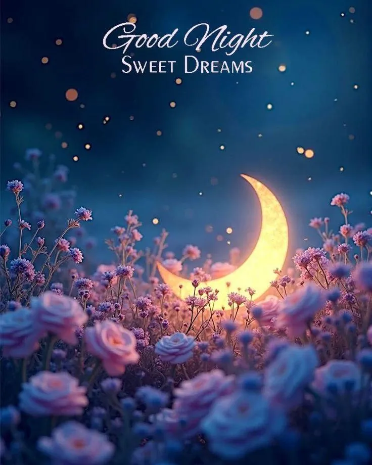 Magical Night Sky Turns into a Beautiful Good Morning