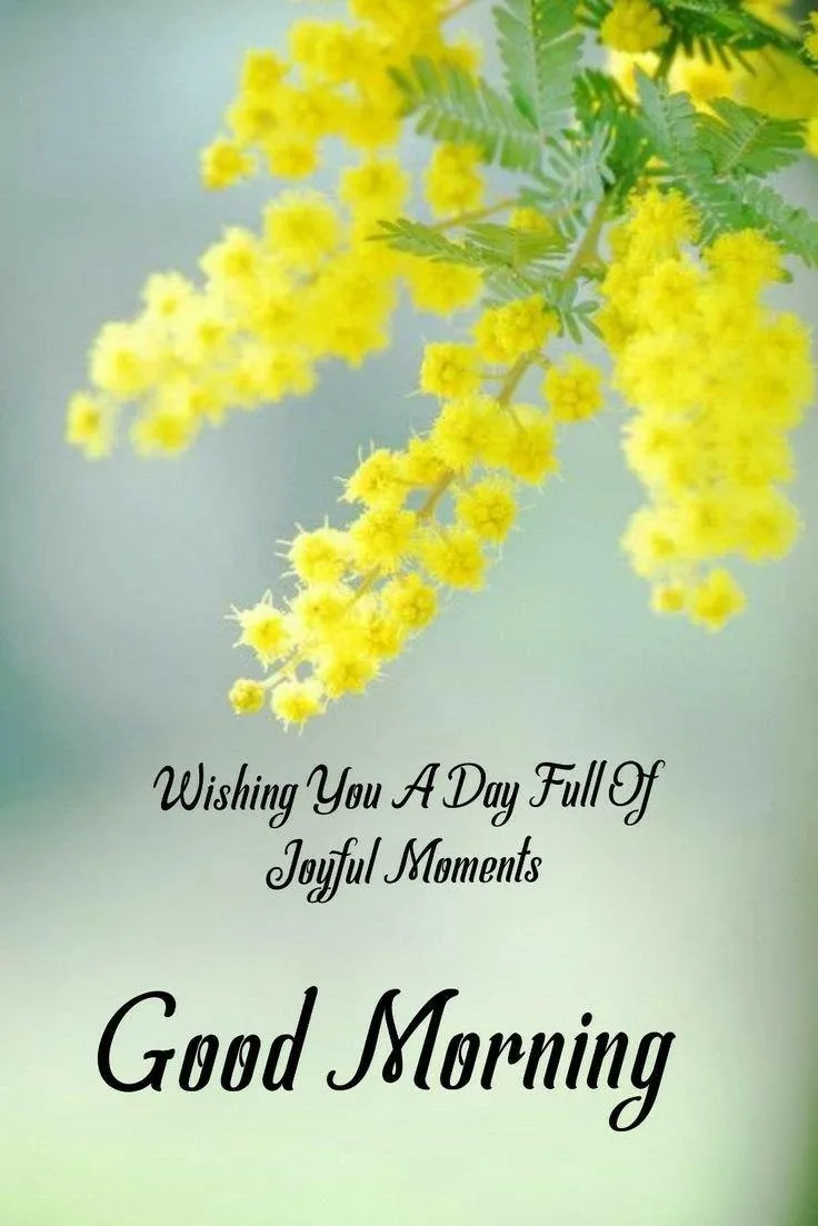 Making the Day Happy with Yellow Flowers and Quote