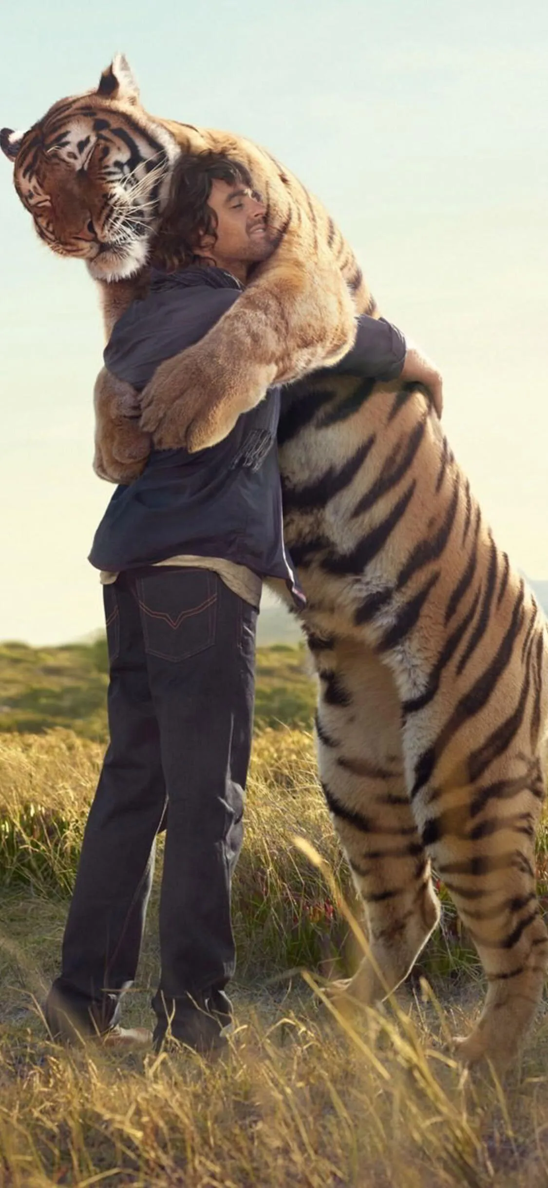 Man Hugging Tiger Representing Pure Bonding Wallpaper