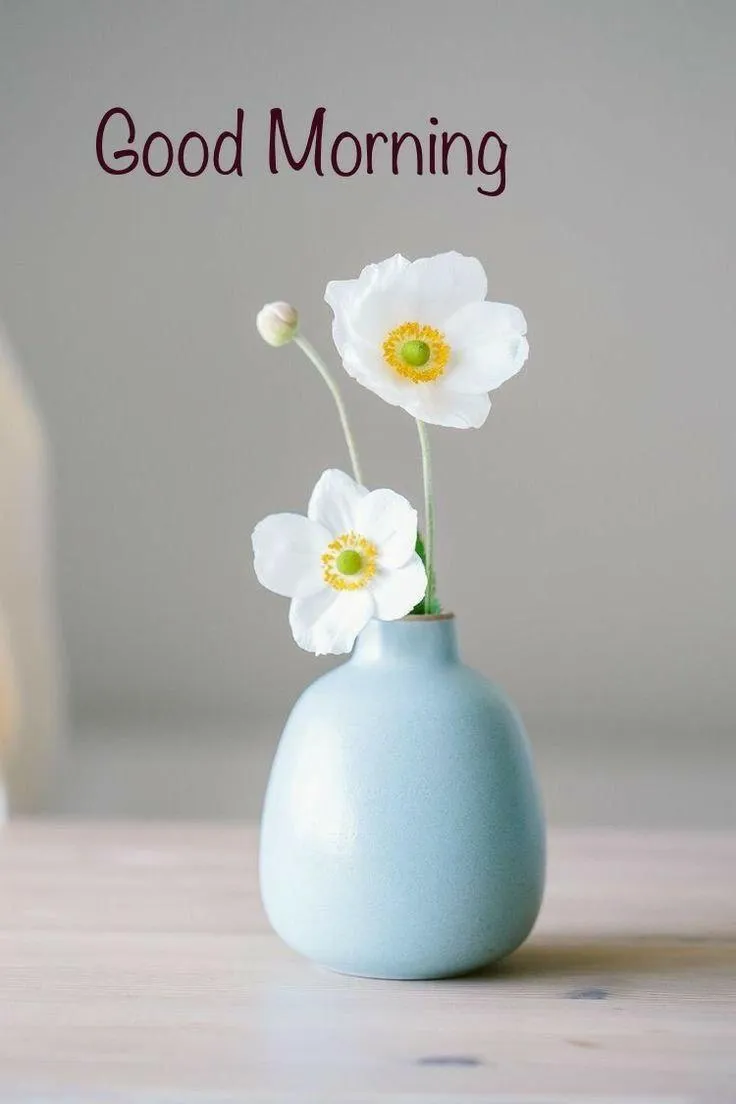 Minimal White Flower in Vase to Begin a Clean Morning