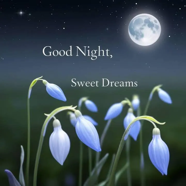 Moonlight and White Flowers with Calm Good Night Quote