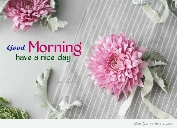 Morning Bloom with Pink Flowers for a Cheerful Start