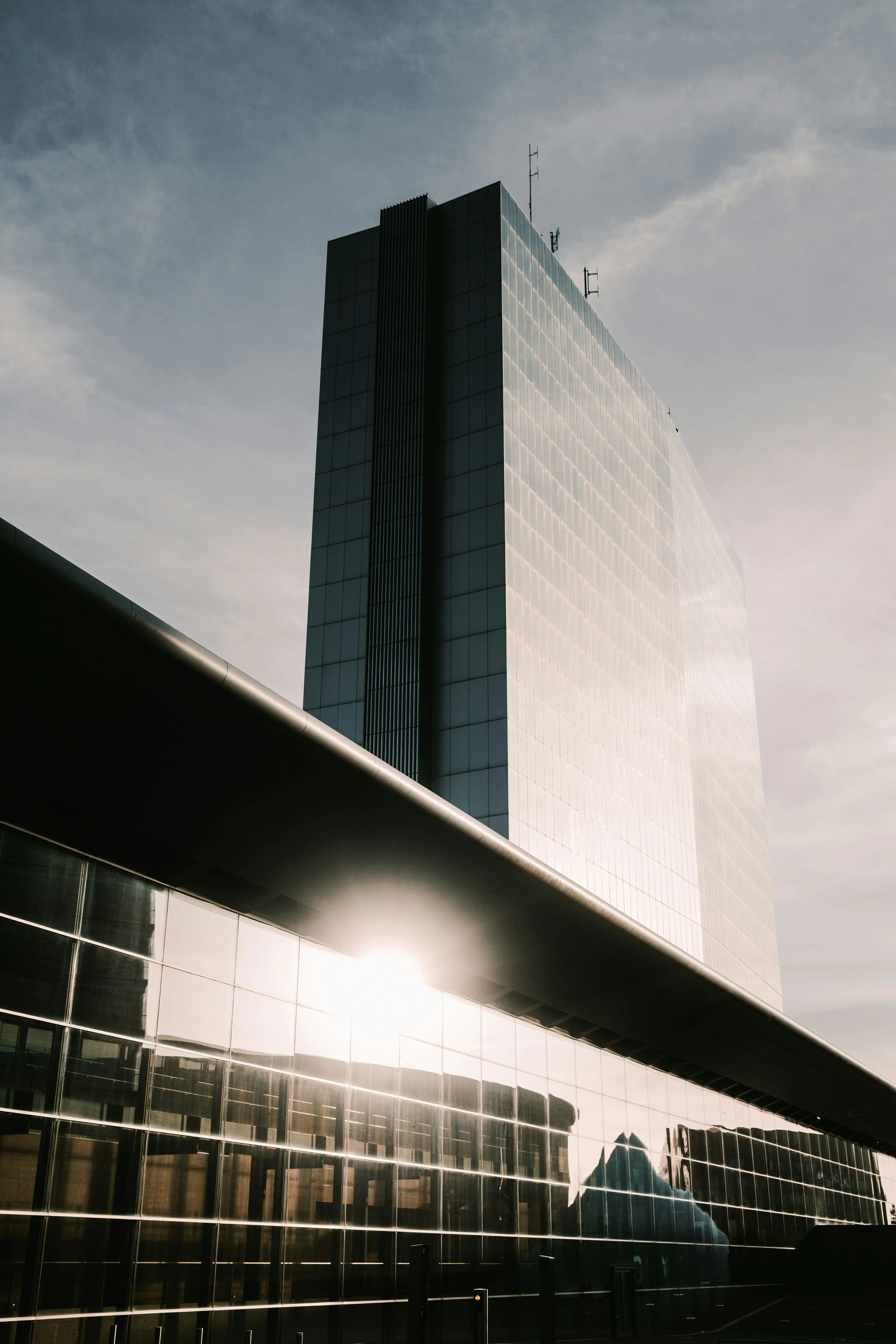 Morning City Light Reflecting Calm and Honest Love