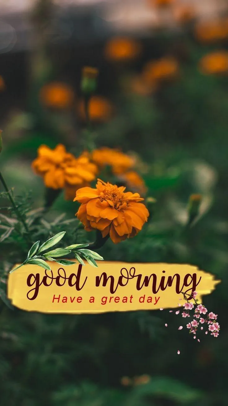 Morning Garden View Promotes Gratitude and Balance