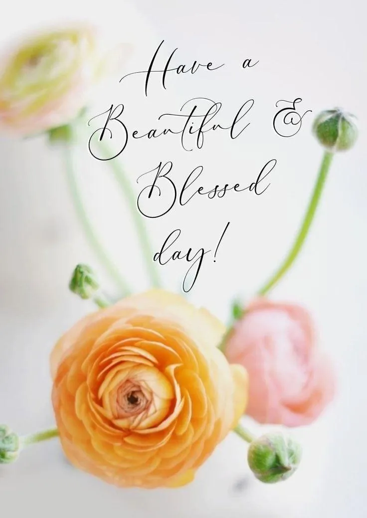 Morning Greetings with Yellow and White Floral Design