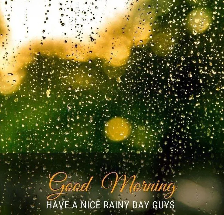 Morning Rain on Glass Window to Refresh Your Mind Image