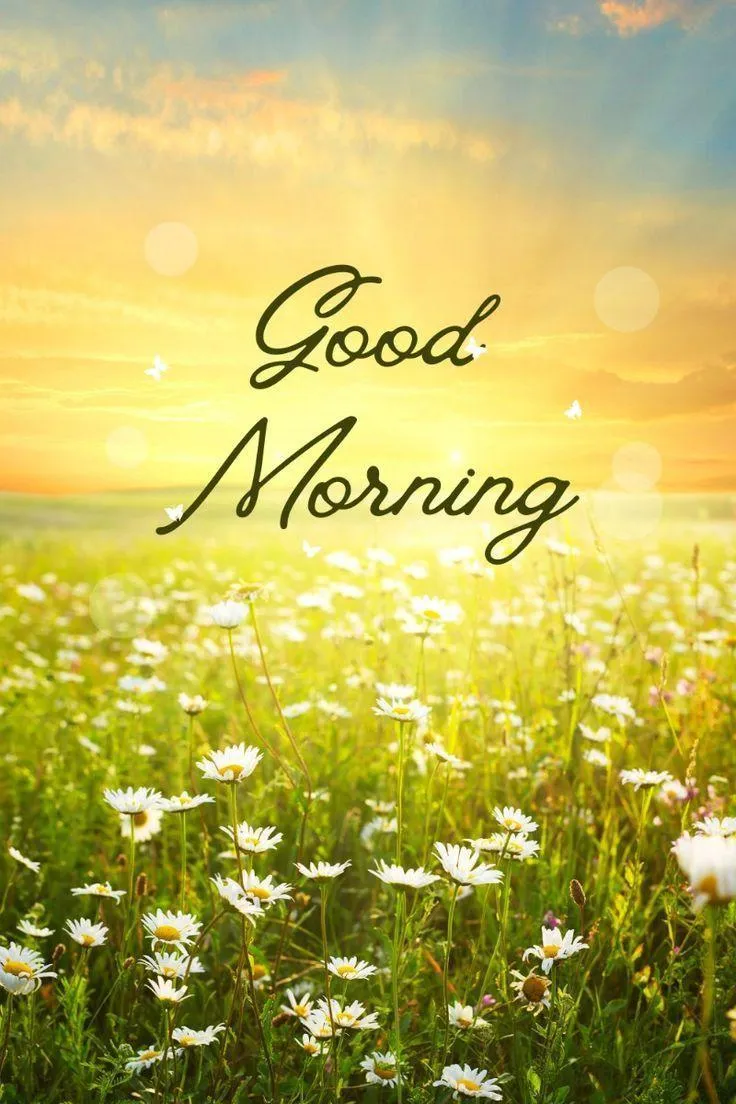 Morning Sunshine Over Field Brings Hope and Clear Vision