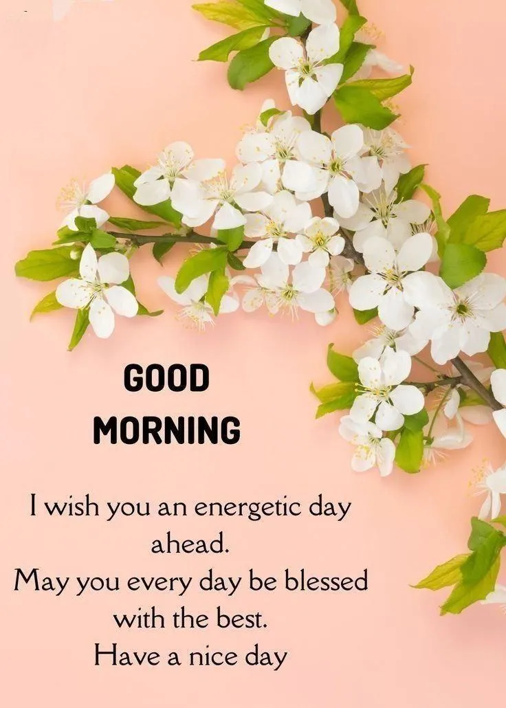 Motivational Floral Design Wishing Rising Success Wallpaper