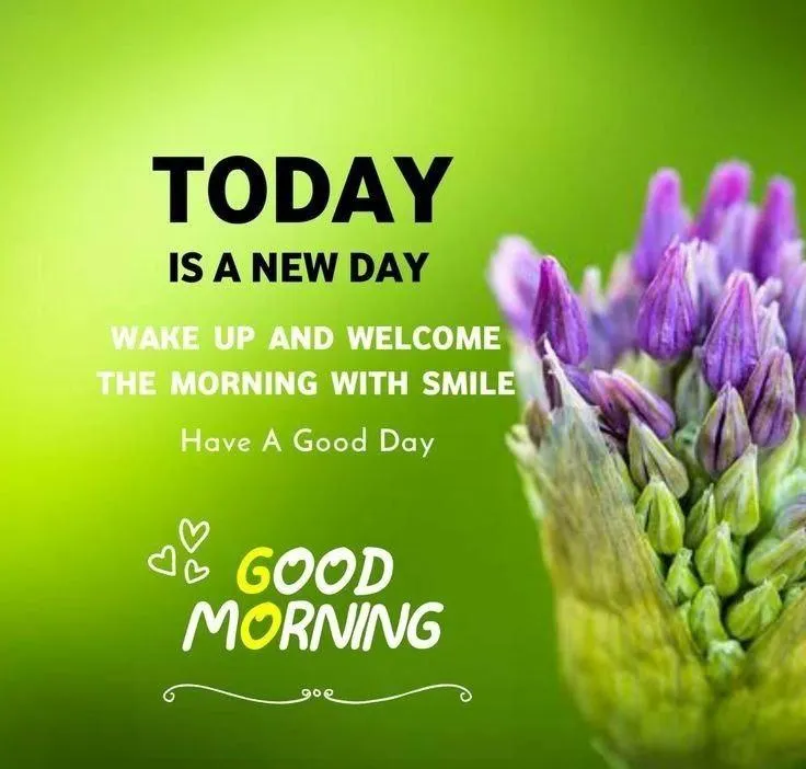 Motivational Good Morning Quote with Green Background