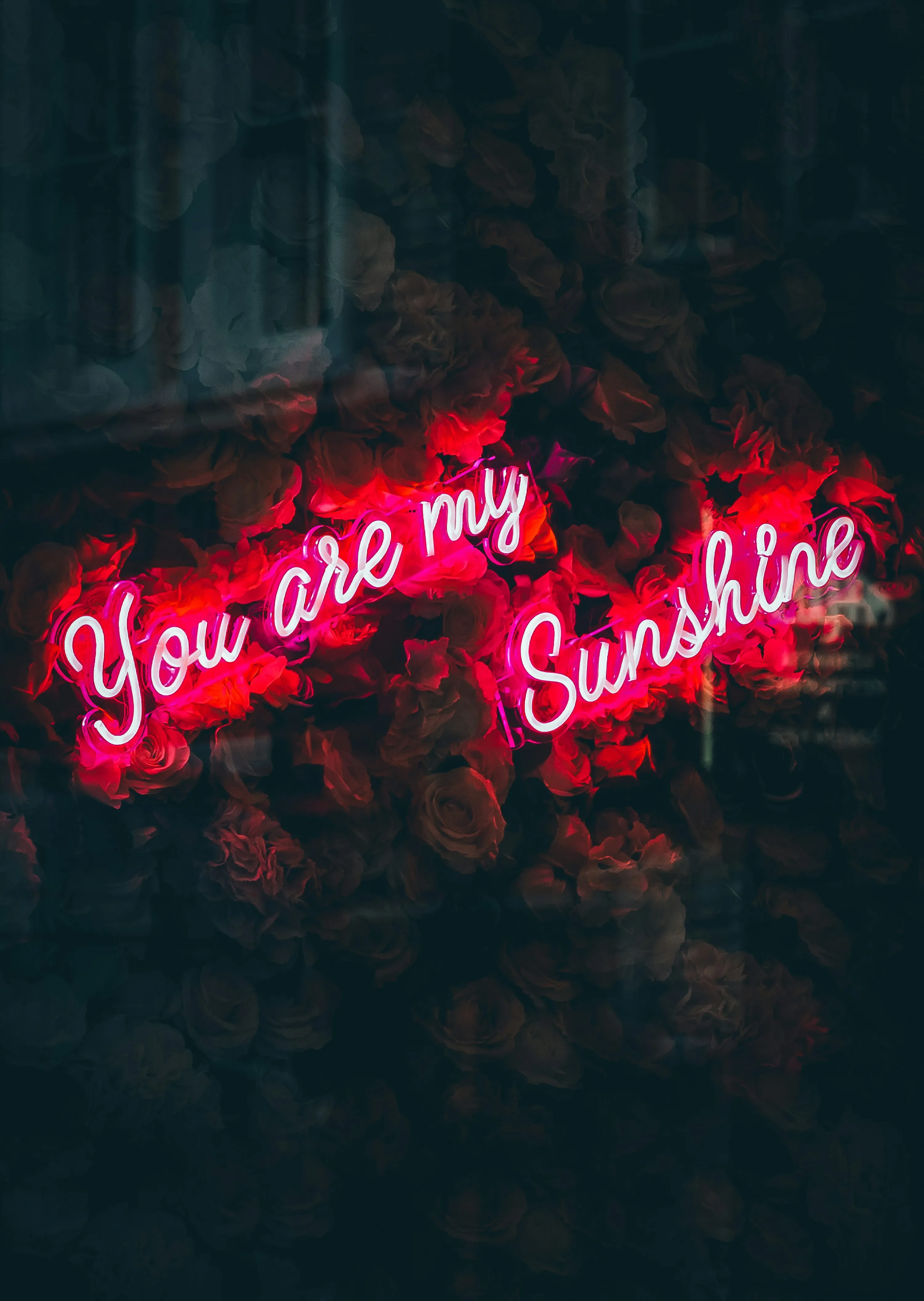 Neon Sign Expressing You Are My Sunshine Wallpaper