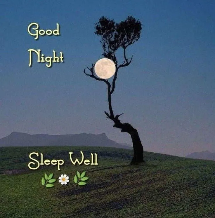 Night Landscape with Moon and Trees Under Sky Text