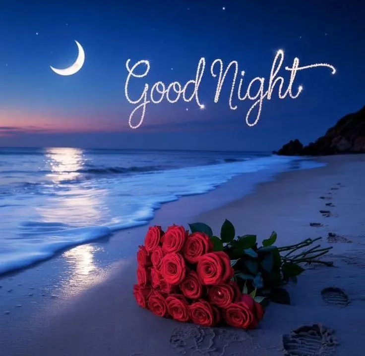 Night Scene with Red Roses and Moon Good Night Text